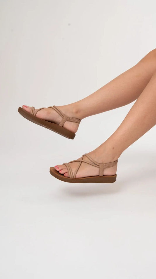 Marron